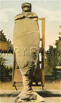 Manatees: MER-PEOPLE/LOOK-ALIKES