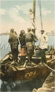 Manatees: MER-PEOPLE/LOOK-ALIKES