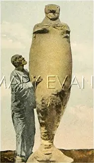 Manatees: MER-PEOPLE/LOOK-ALIKES
