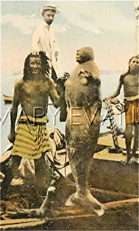 Manatees: MER-PEOPLE/LOOK-ALIKES