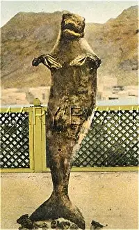 Manatees: MER-PEOPLE/LOOK-ALIKES