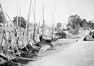 Tributary: Merchant ships in Egypt, 1899