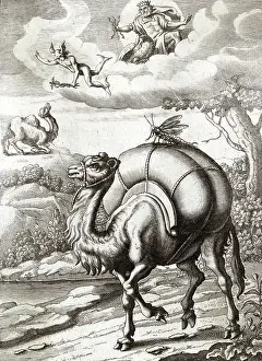Aesop: MERCURY AND THE CAMEL