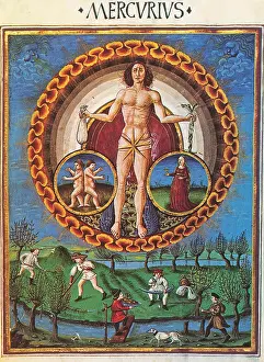 Siamese: Mercury Rules Virgo