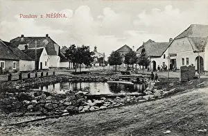 Duckpond: Merin - Czech Republic
