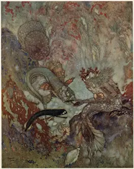 Andersen: The Mermaid - Edmund Dulac
