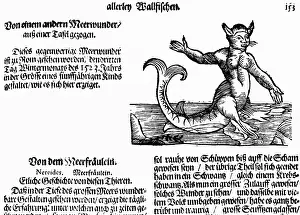 Chimera: Mermaid (Nereid)