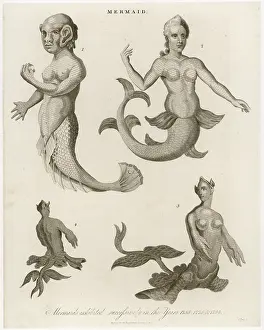 Mermaids: Mermaids in London