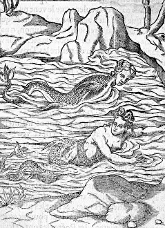 Mermaids: MERMAIDS IN WATER