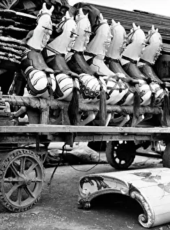Fondazione Alinari Per La Fotografia: Merry-go-round horses