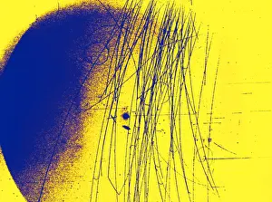 Nevis: Meson Decay in Bubble Chamber