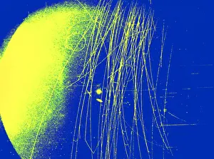 Nevis: Meson Decay in Bubble Chamber