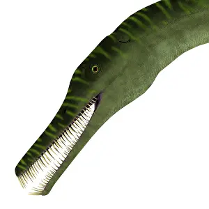 Permian: Mesosaurus aquatic reptile headshot
