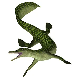 Slender: Mesosaurus aquatic reptile on white background