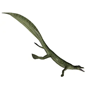 Slender: Mesosaurus dinosaur
