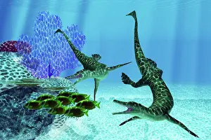 Permian: Two Mesosaurus predators chasing a school of lemonpeel