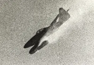 Schwalbe: Messerschmitt Me-262A Schwalbe