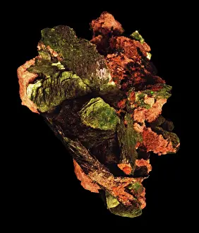 Phosphate: Metatorbernite