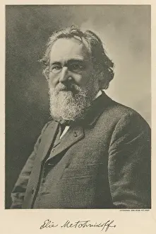 Frizzy: METCHNIKOFF