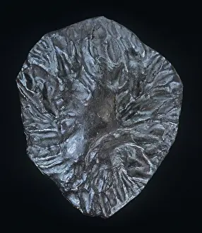 Melt: Meteorite