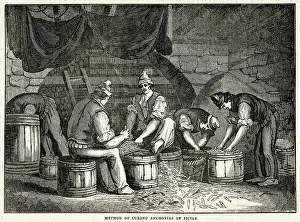Preserving: Method of curing anchovies in Sicily 1834