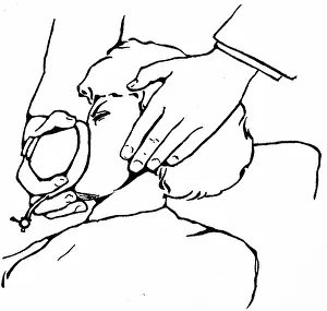 Application: Method of holding face-piece of Clover's small