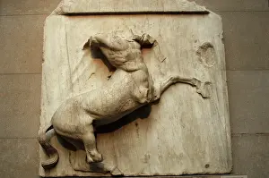 Parthenon: Metope. Parthenon marbles. Centaur. 5th century BC