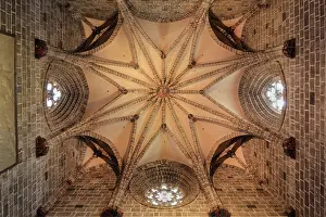 Grail: Metropolitan CathedralnoaeBasilica of the Assumption