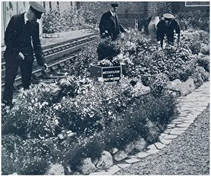 Attending: Metropolitan Railway Station at Hammersmith, gardens 1929