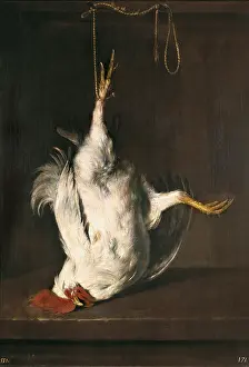 Metsu: METSU, Gabriel (1629-1667)