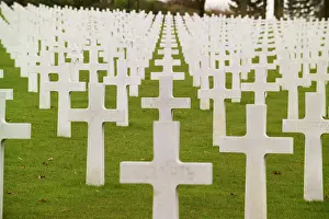 Burials: Meuse-Argonne American Cemetery