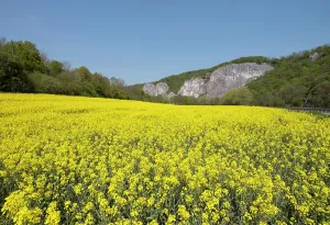 Namur: Meuse Valley, Wallonia, Belgium