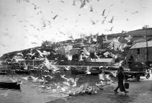 Mevagissey: Mevagissey, 1930