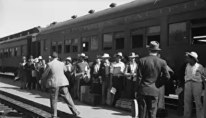 Labors: Mexican agricultural laborers arriving in ?