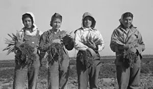 Latinas: Mexican-American young women working as ?
