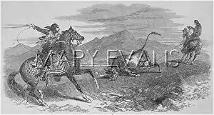 Bolas: MEXICAN COWBOYS