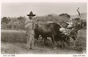 Ploughs: Mexican farmer with his ox-pulled plough