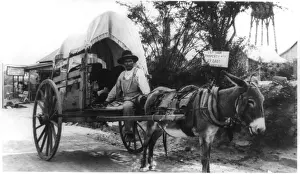 Nuevo: Mexican man on a donkey cart emigrating ?