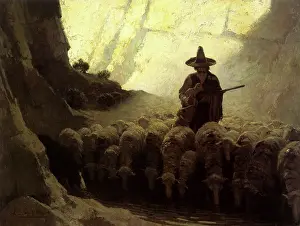 Convers: Mexican Shepherd