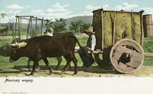 Yolk: Mexican Wagon with solid wheels