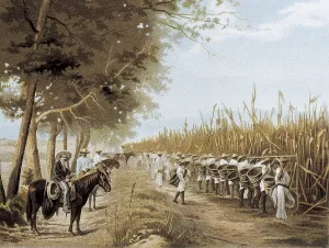 Harvests: Mexico (19th c). Corn crop in a farm. Lithograph