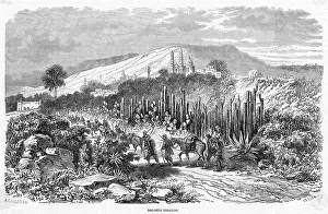 Hidalgo: MEXICO DOLORES HIDALGO