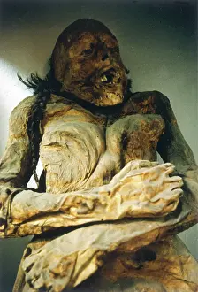 Plaited: MEXICO/MUMMY (STACY)