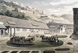 Hacienda: MEXICO SALGADO