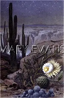 Cereus: MEXICO/SCENERY/CACTUS