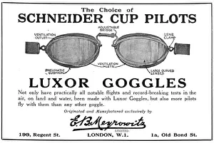 Meyrowitz: Meyrowitz Luxor Flying Goggles