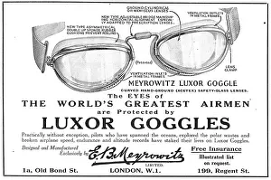 Meyrowitz: Meyrowitz Luxor Flying Goggles