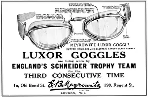 Meyrowitz: Meyrowitz Luxor Flying Goggles