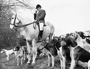 Foxhound: MFH of the South Devon Foxhounds