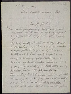 Gunther: From M.G. Peracca to A. Gunther
